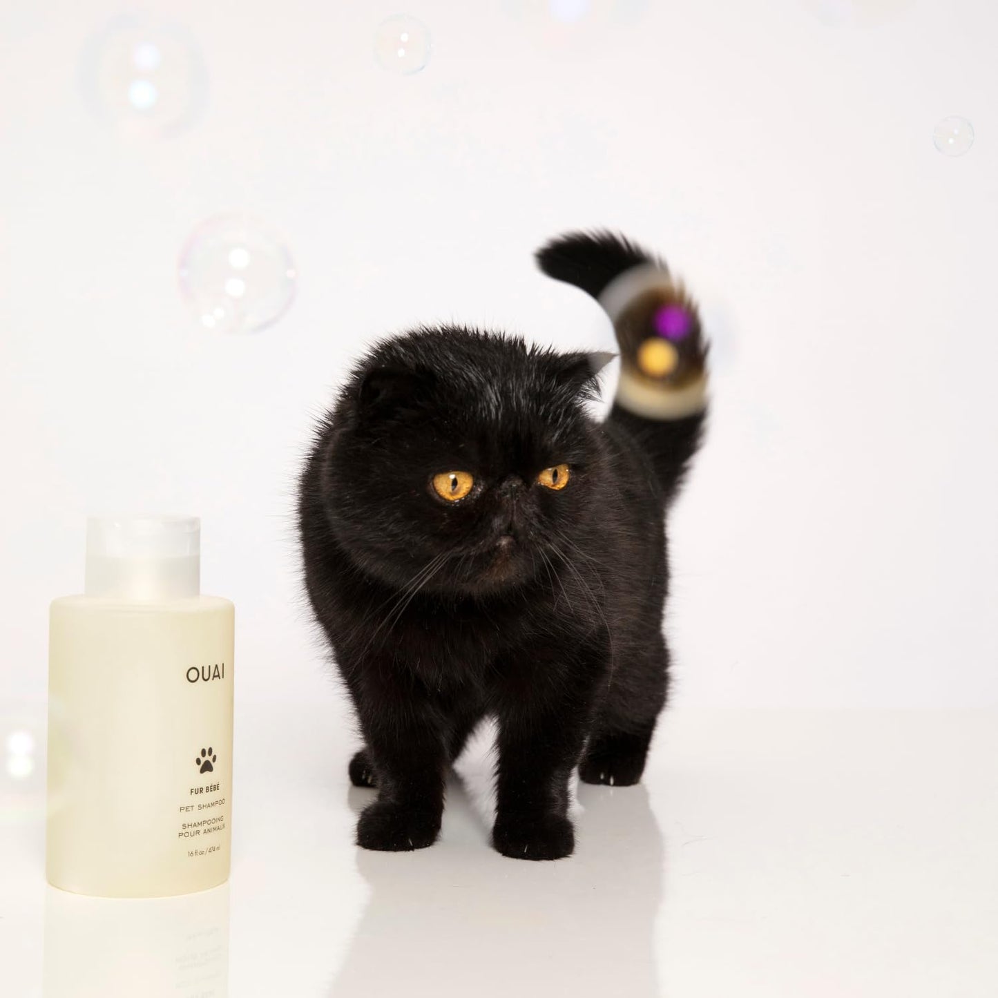 OUAI Fur Bébé Pet Shampoo - Prestige Spa-Grade Cleanser for Pampered Cats and Dogs, Mercer Street Signature Scent (16 Fl oz)