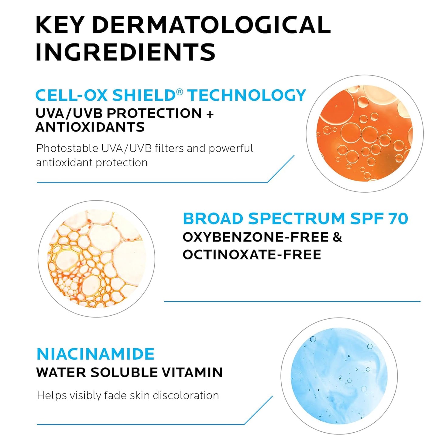 oxybenzone-free and octinoxate-free formula