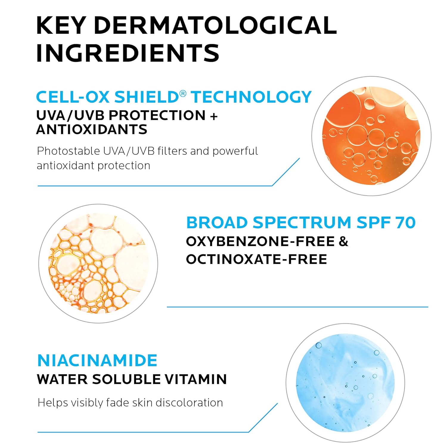 oxybenzone-free and octinoxate-free formula