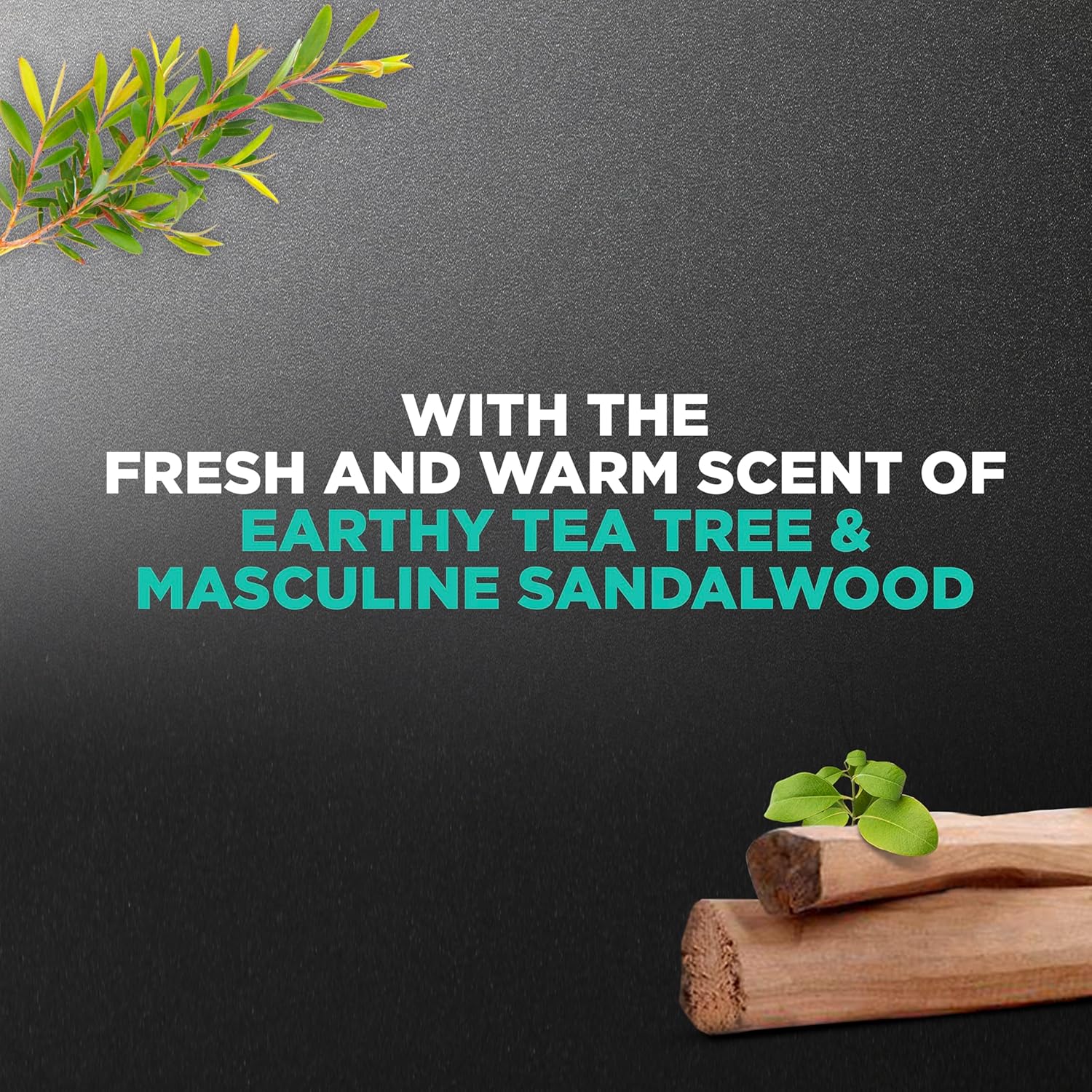 paraben-free formulation with plant-based moisturizers