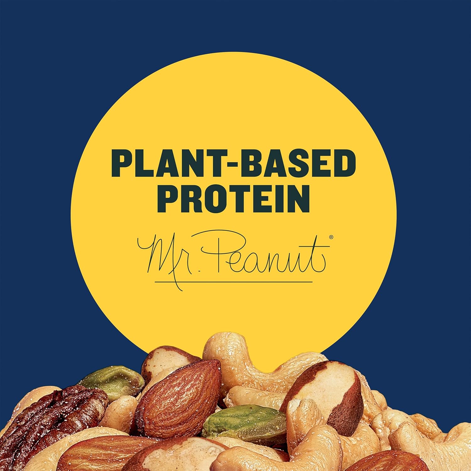 plant-based protein source suitable for vegan and flexitarian diets