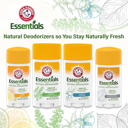 plant-derived ingredients with no animal byproducts