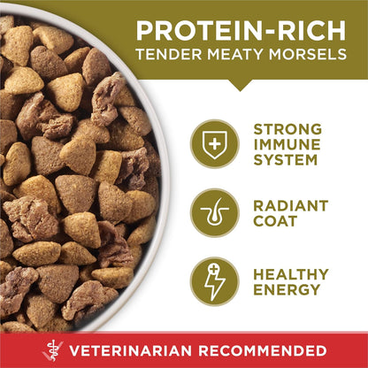 Purina ONE Lamb and Rice Formula - Family-Friendly Adult Dog Food for Kitchen Feeding Stations, 8 lb. Bag