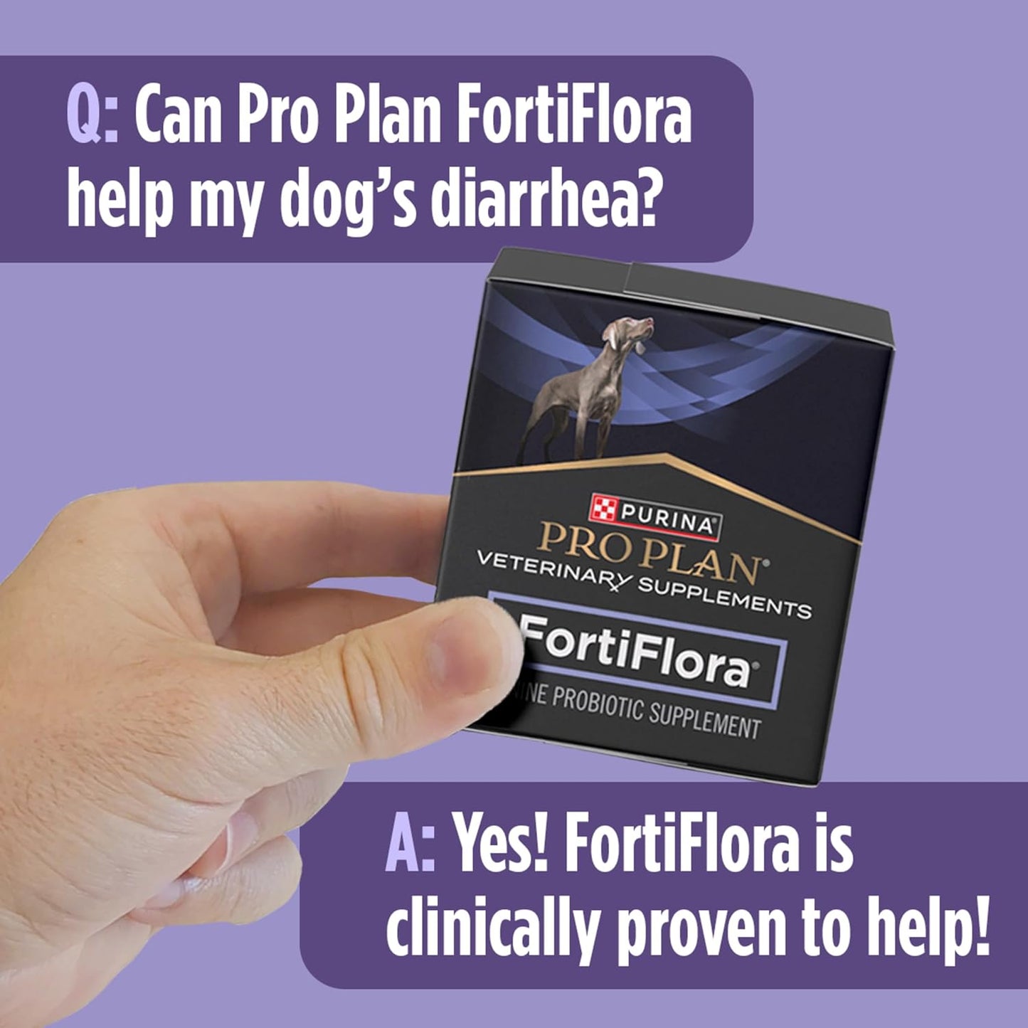 Purina Pro Plan FortiFlora Probiotic Powder for Dogs – Travel-Ready Gut Support for Boarding and Road Trips