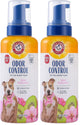 Odor Control Foam - 16 Fl Oz (Pack of 2)