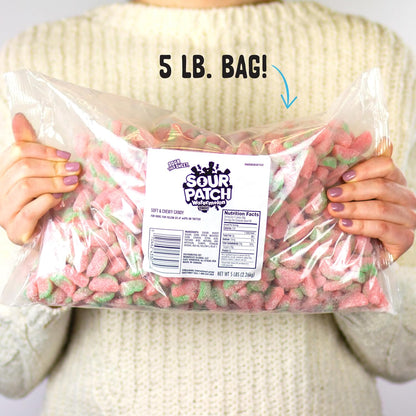 resealable bagged container for freshness retention