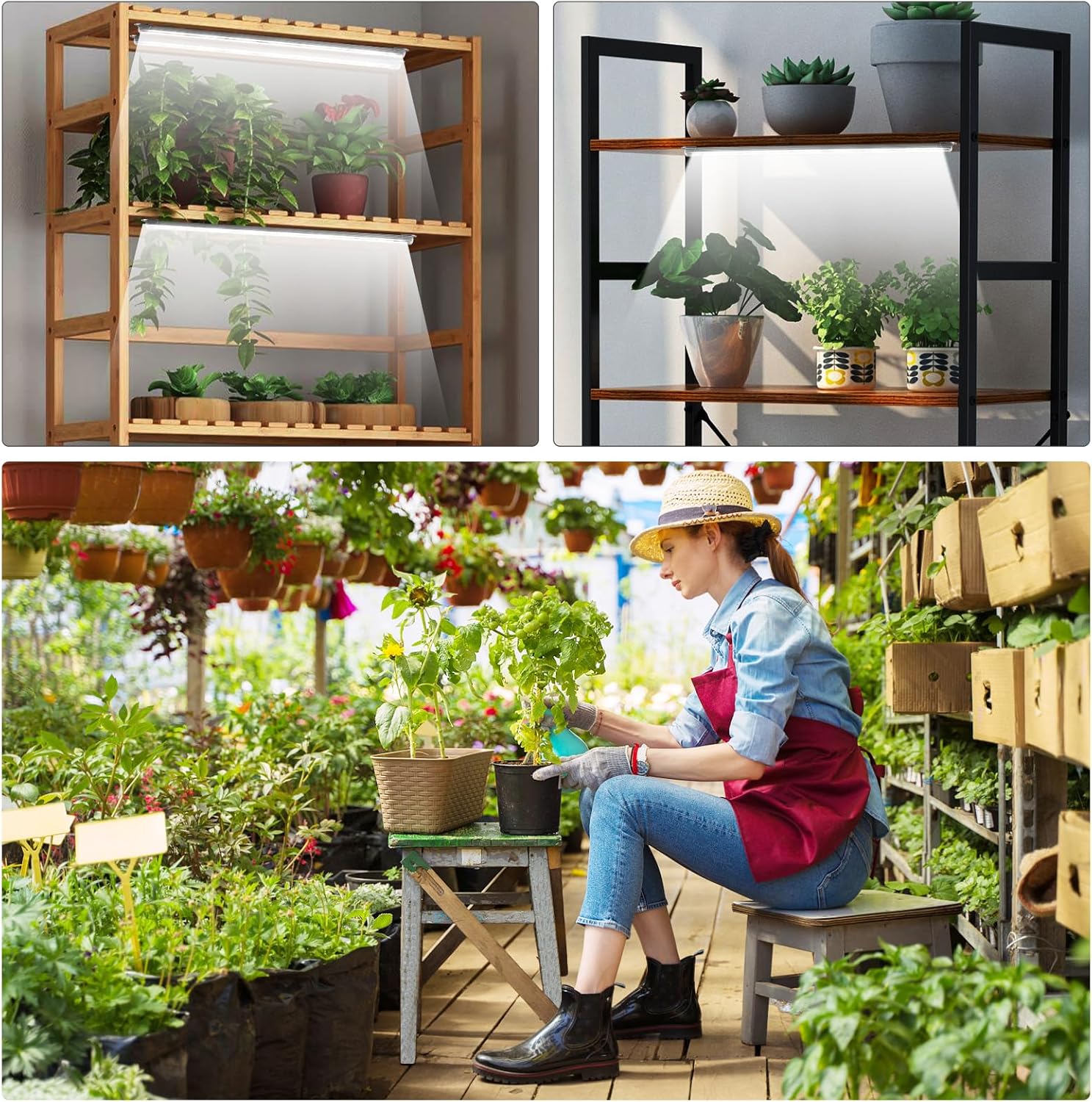 Roleadro 2-Bar 6000K Plant Grow Strip – Cubicle & Study Nook Lighting for Year-Round Desk Greenery