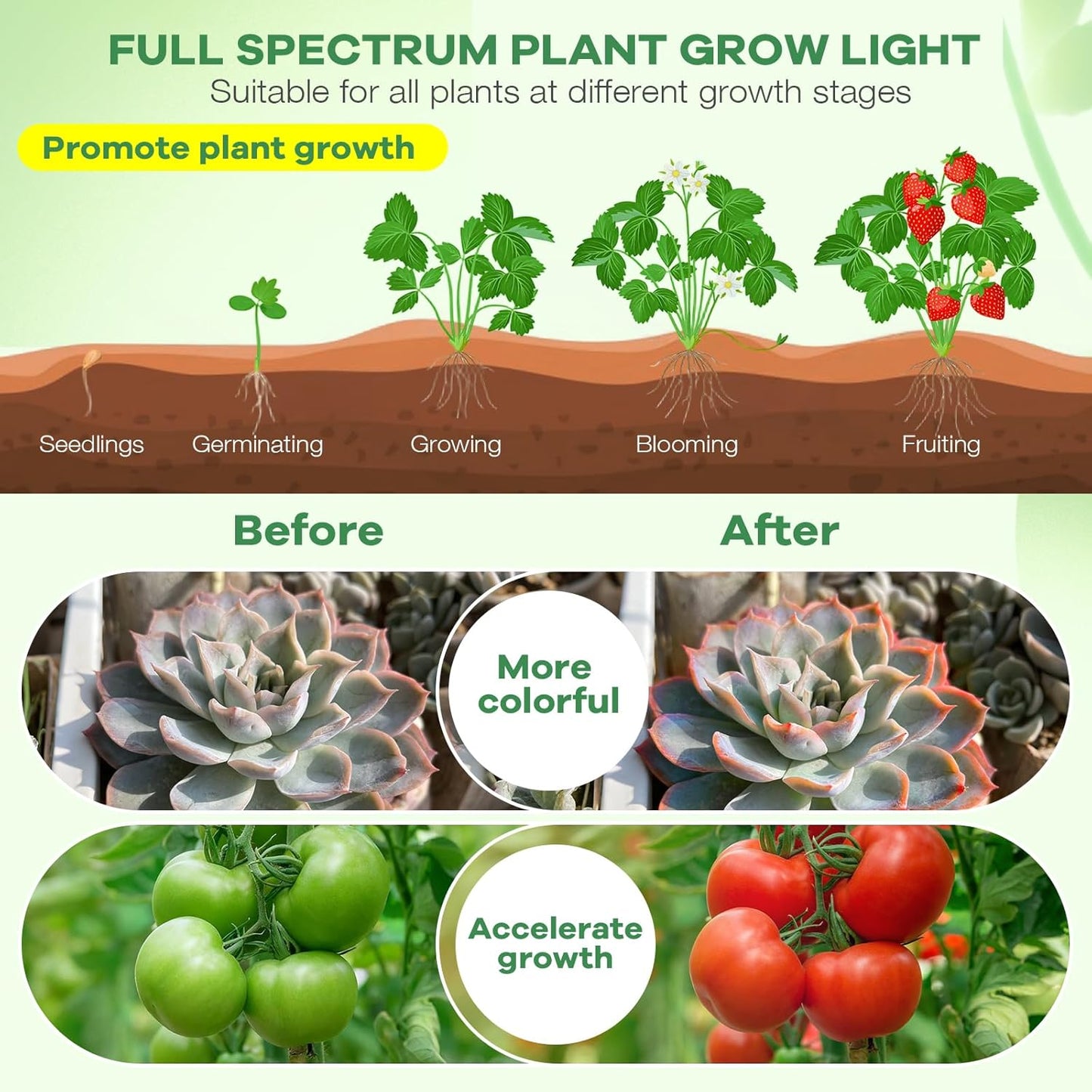 SANSI Grow Light – Compact Clip-On Light for Intentional Small Spaces and Less-Is-More Homes