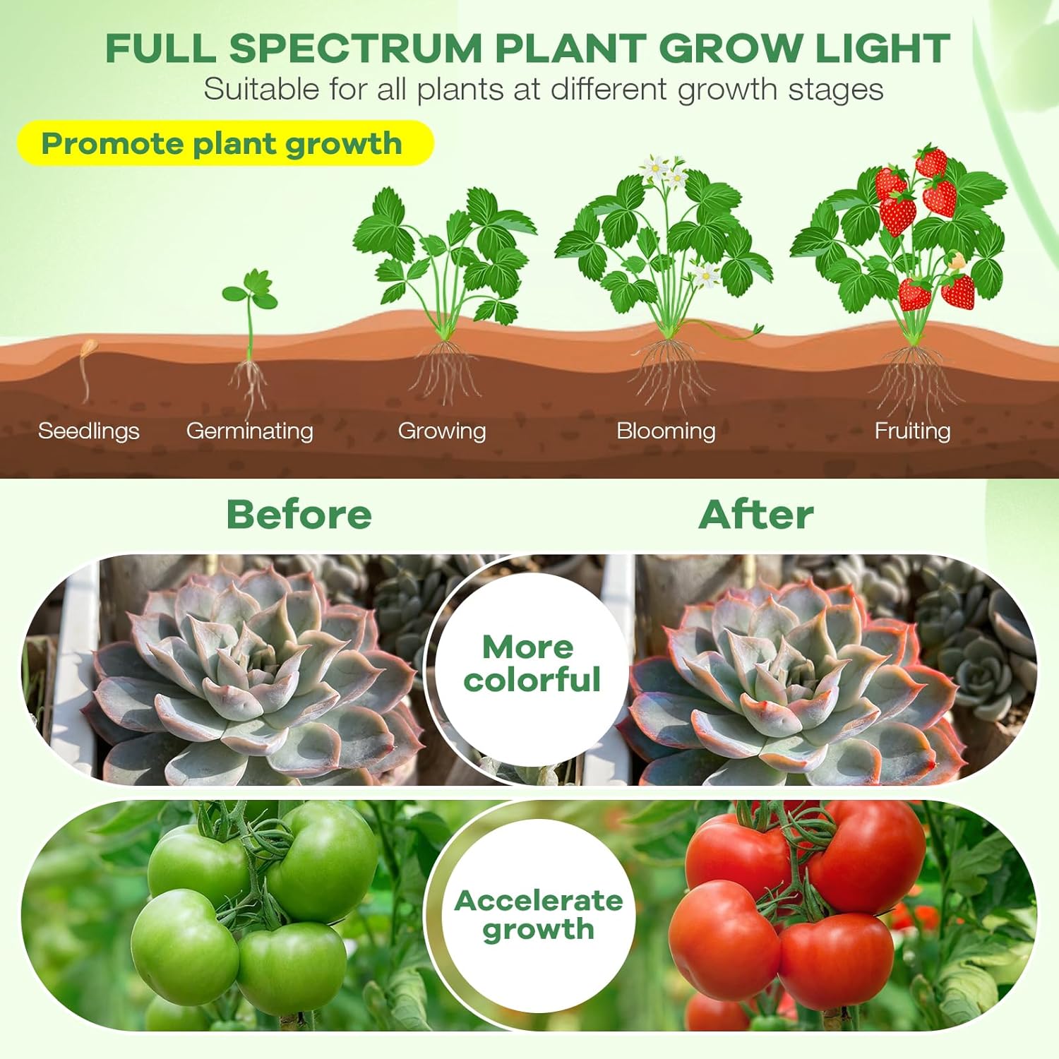SANSI Grow Light – Compact Clip-On Light for Intentional Small Spaces and Less-Is-More Homes