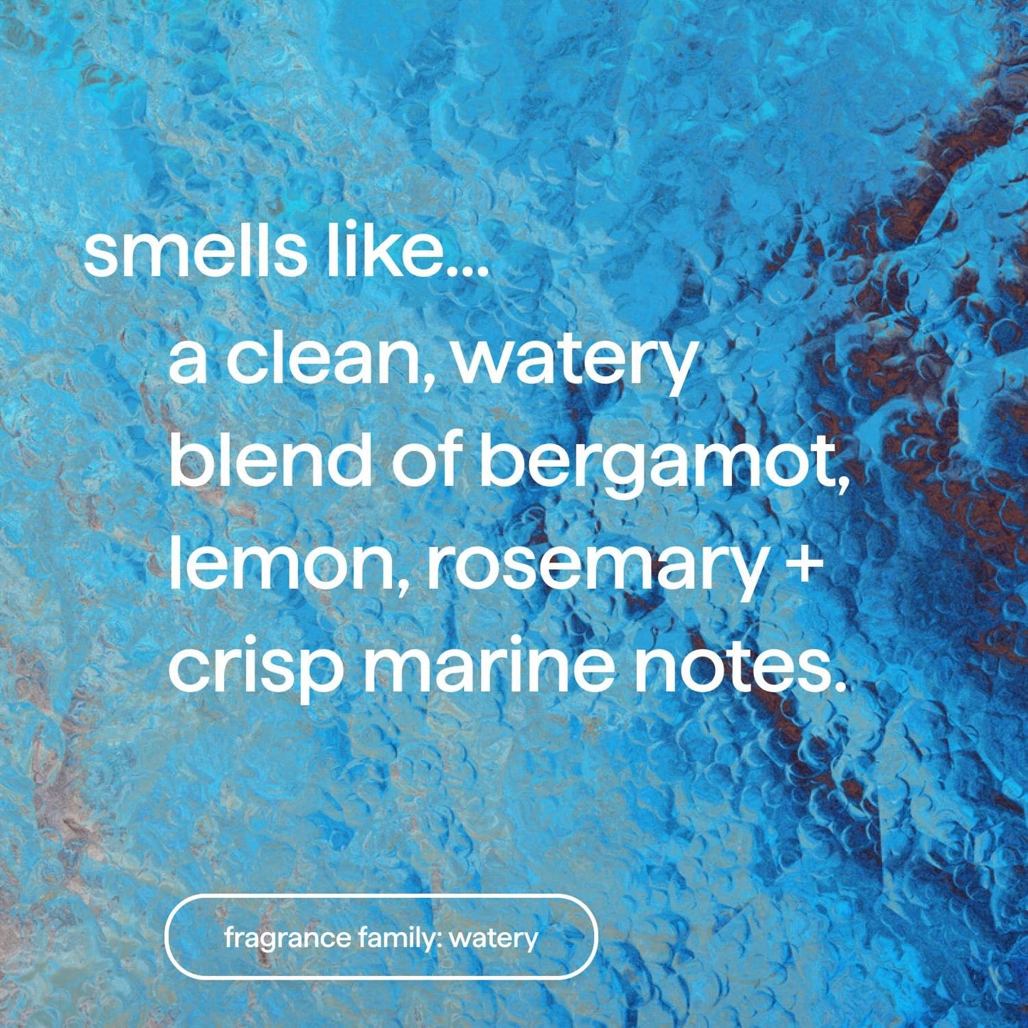 sea minerals fragrance combining bergamot, lemon, rosemary, and marine notes