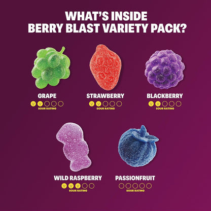 Shameless Snacks Berry Blast Gummy Candy – Thoughtful Low-Carb Gift Basket Addition for Health-Conscious Friends