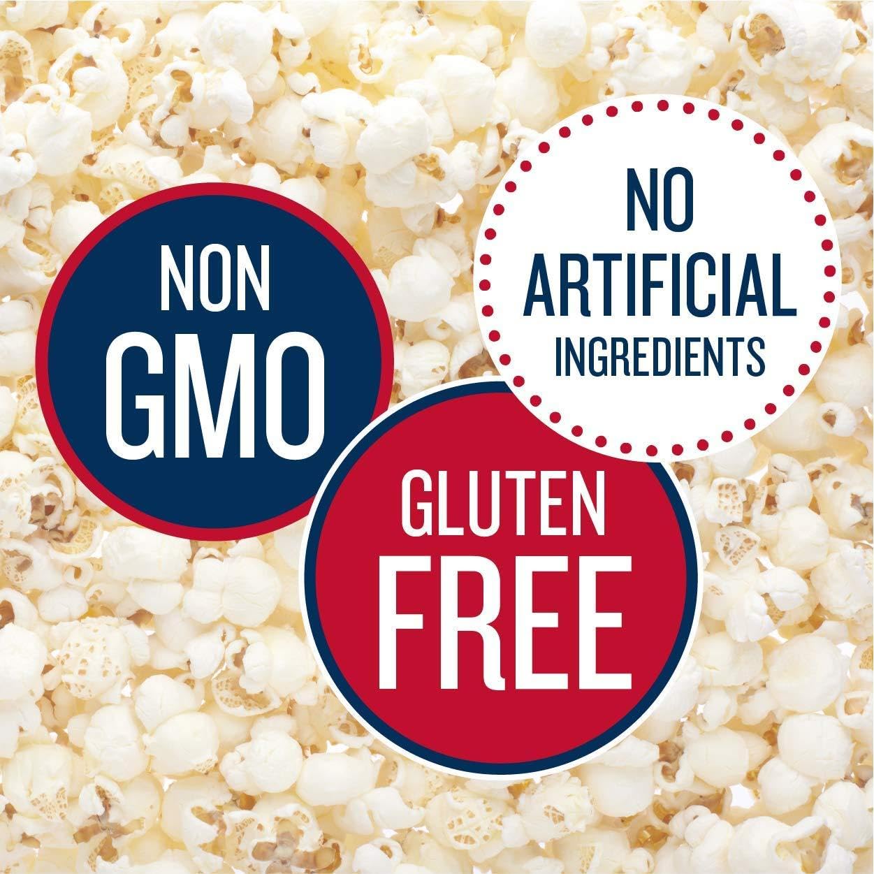 SkinnyPop Popcorn – Allergen-Safe School Lunch Snack for Kids' Lunchboxes, 0.5oz Portion Bags