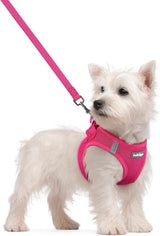 rabbitgoo Puppy First Harness Gift Set – Easy Step-In Design for New Pet Parents, Adjustable Fit That Grows With the Dog