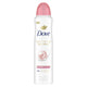 3.8 Ounce (Pack of 1) - Beauty Finish