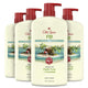 Fiji with Palm Tree - 30 Fl Oz (Pack of 4)