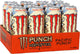 Pacific Punch - 16 Ounce (Pack of 24)