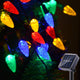 Multicolor - C6 50LEDS