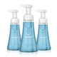 10 Fl Oz (Pack of 3)