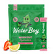Strawberry Lemonade (15ct)