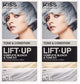 Ice - 1 Count (Pack of 2)
