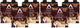 Mocha - 11 Fl Oz (Pack of 24)