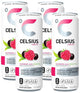 Raspberry - 12 Ounce (Pack of 4)