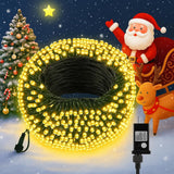 Family Christmas Tree LED Lights, Pet and Kid Safe Low Voltage Twinkle String Lights