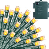 Lumify Home 50 LED Mini Lights - Cool to Touch, Child and Pet Safe Indoor Tree Lighting