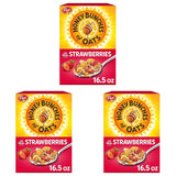 Honey Bunches of Oats with Strawberries Breakfast Cereal – Quick Morning Fuel Cereal for the Home Office and Commuter Bag
