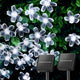 Pure White - 2 Pack