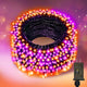 66FT, Purple Orange