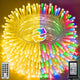 Transparent line：328FT 1000LED - Warm White+Multicolor