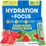 Venture Pal 2-in-1 Electrolyte Mix – Sustained Focus Drink Sticks for Library Days and Long Screen Blocks