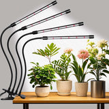Domus Botanix Indoor Plant Lamp – Therapeutic Greenery Light for Windowless Bedrooms and Stress Relief
