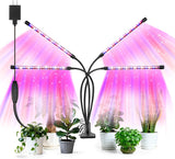 SANSI Grow Light – Compact Clip-On Light for Intentional Small Spaces and Less-Is-More Homes