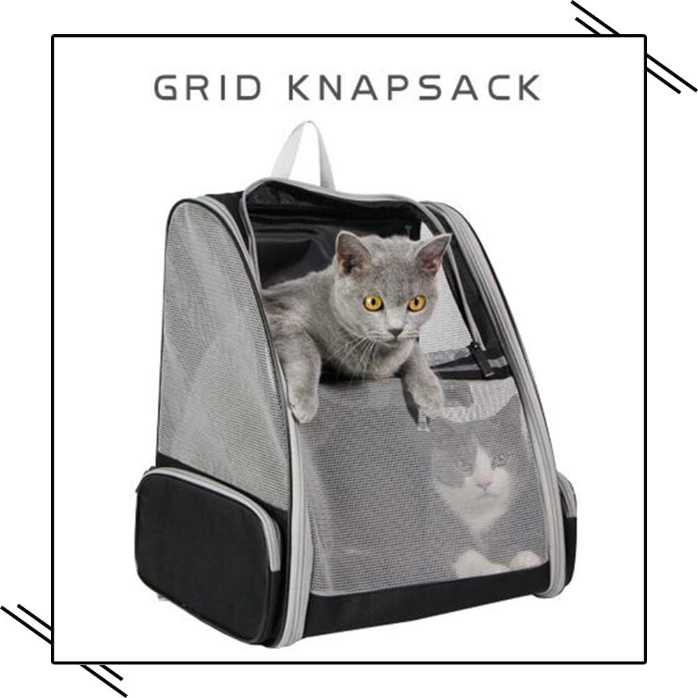 Texsens Bubble Pet Backpack with Visibility Window – Safer Alternative to Open Carriers on Busy Streets