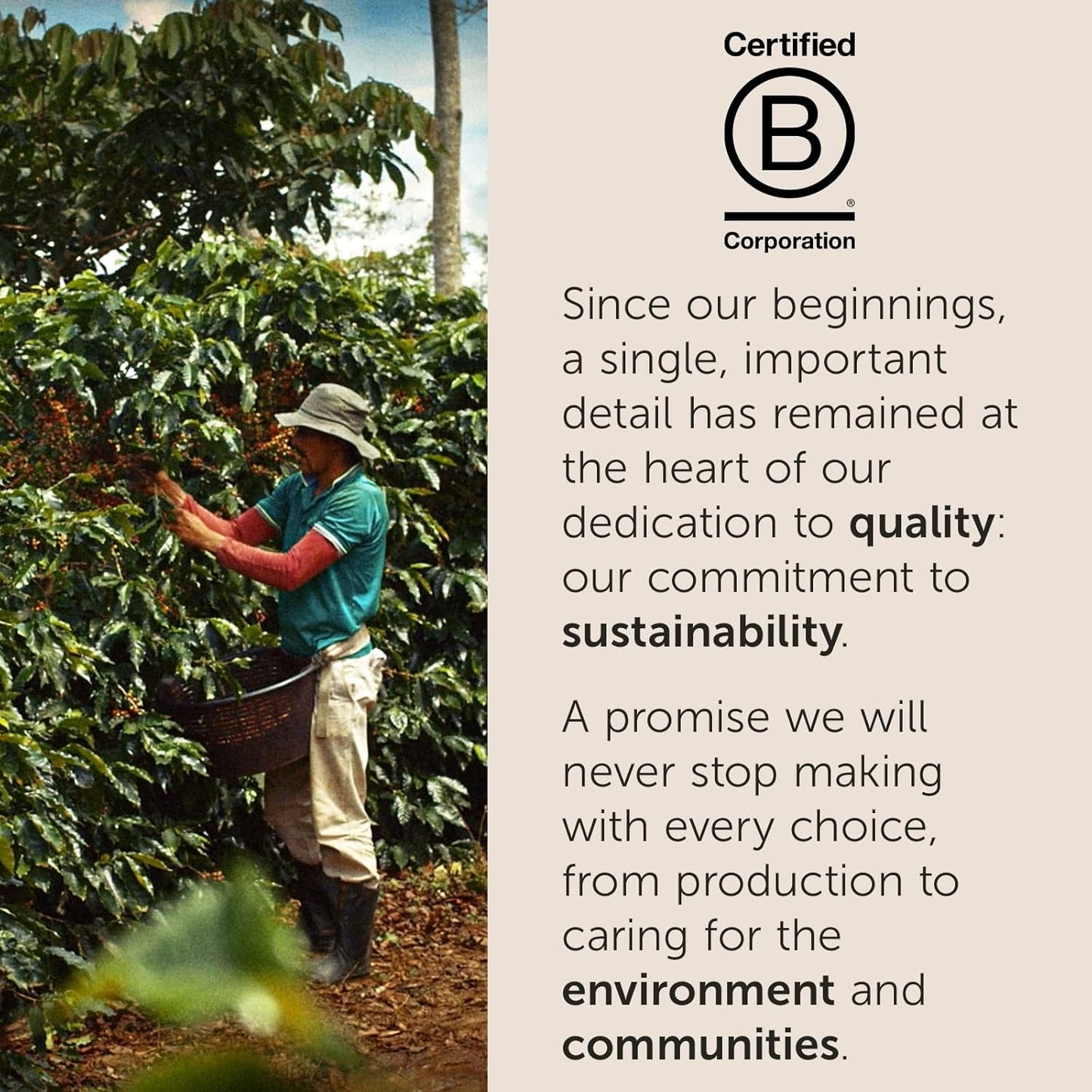 three grind options: drip, espresso, and moka to fit specific brewing equipment