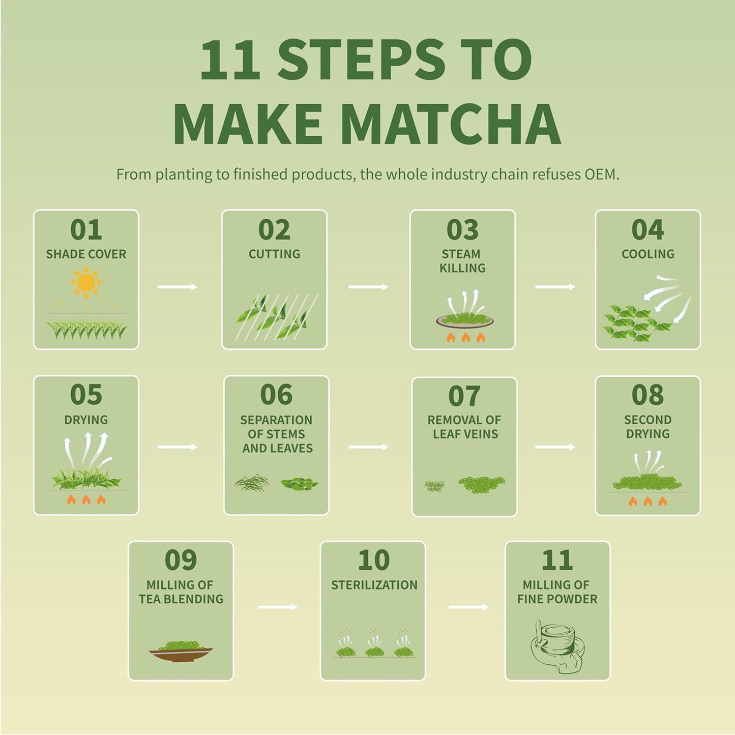 TIAN HU SHAN Matcha Green Tea Powder – Daily Wellness Ritual for Home Self-Care, Calm Caffeine for Mindful Mornings