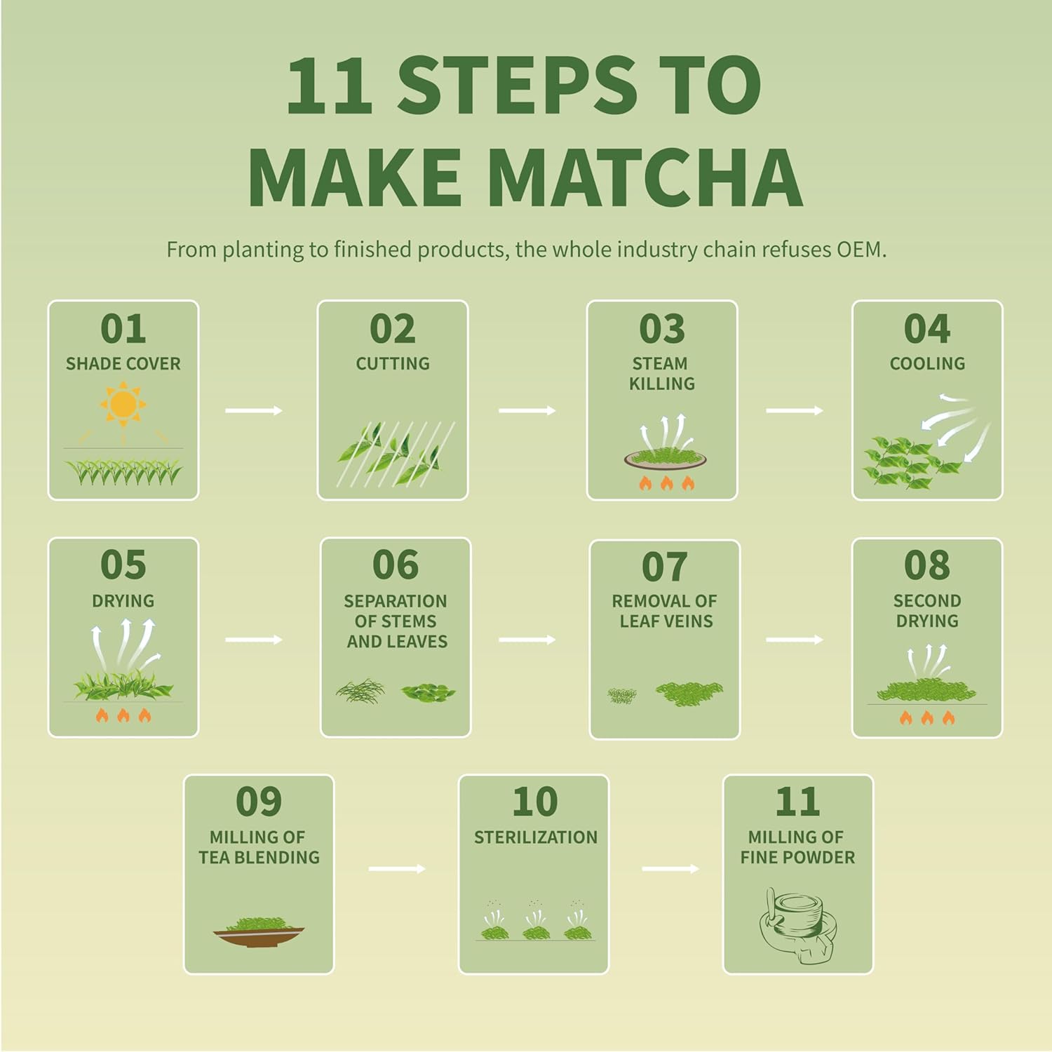 TIAN HU SHAN Matcha Green Tea Powder – Daily Wellness Ritual for Home Self-Care, Calm Caffeine for Mindful Mornings