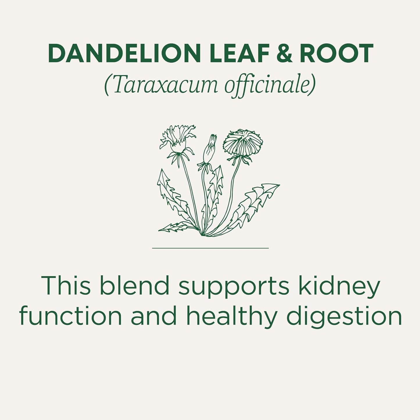 Traditional Medicinals Dandelion Detox Tea – Housewarming Gift for Health-Conscious Friends and Family