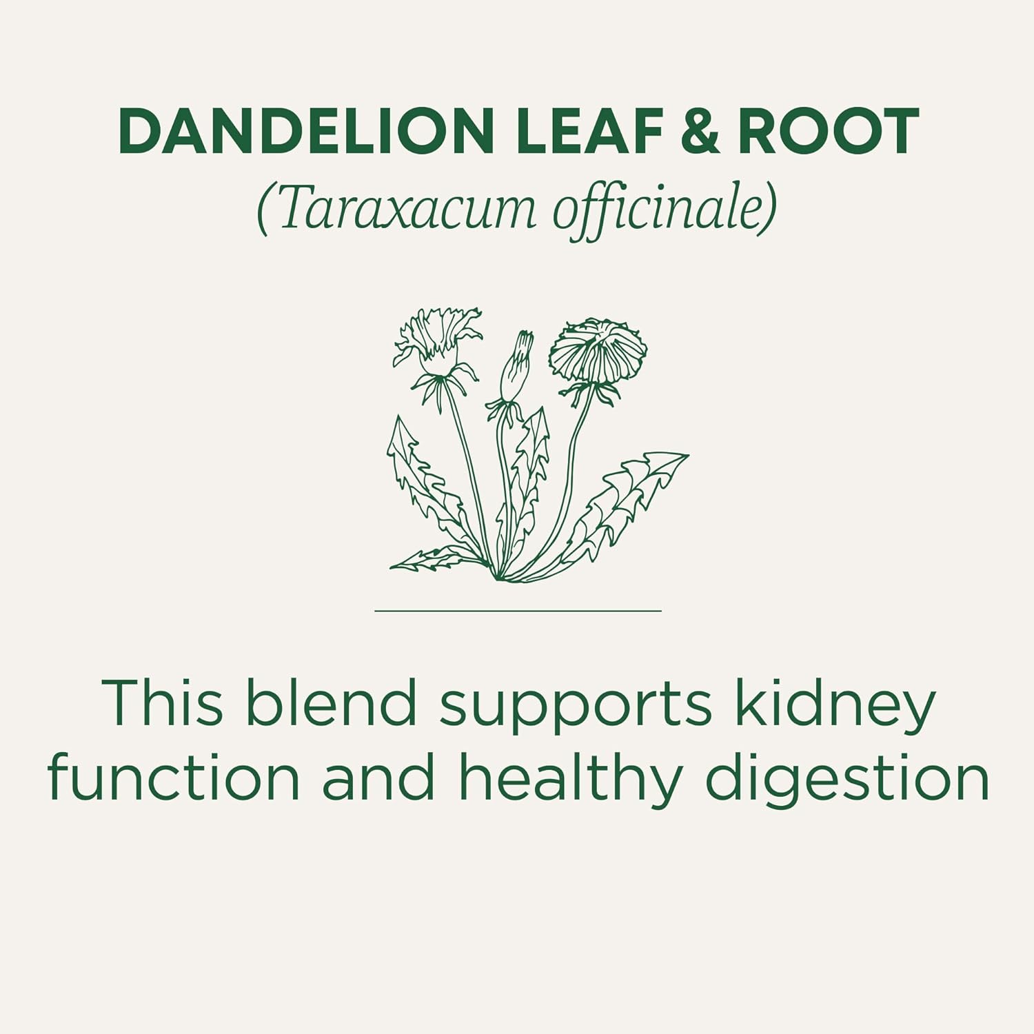 Traditional Medicinals Dandelion Detox Tea – Housewarming Gift for Health-Conscious Friends and Family
