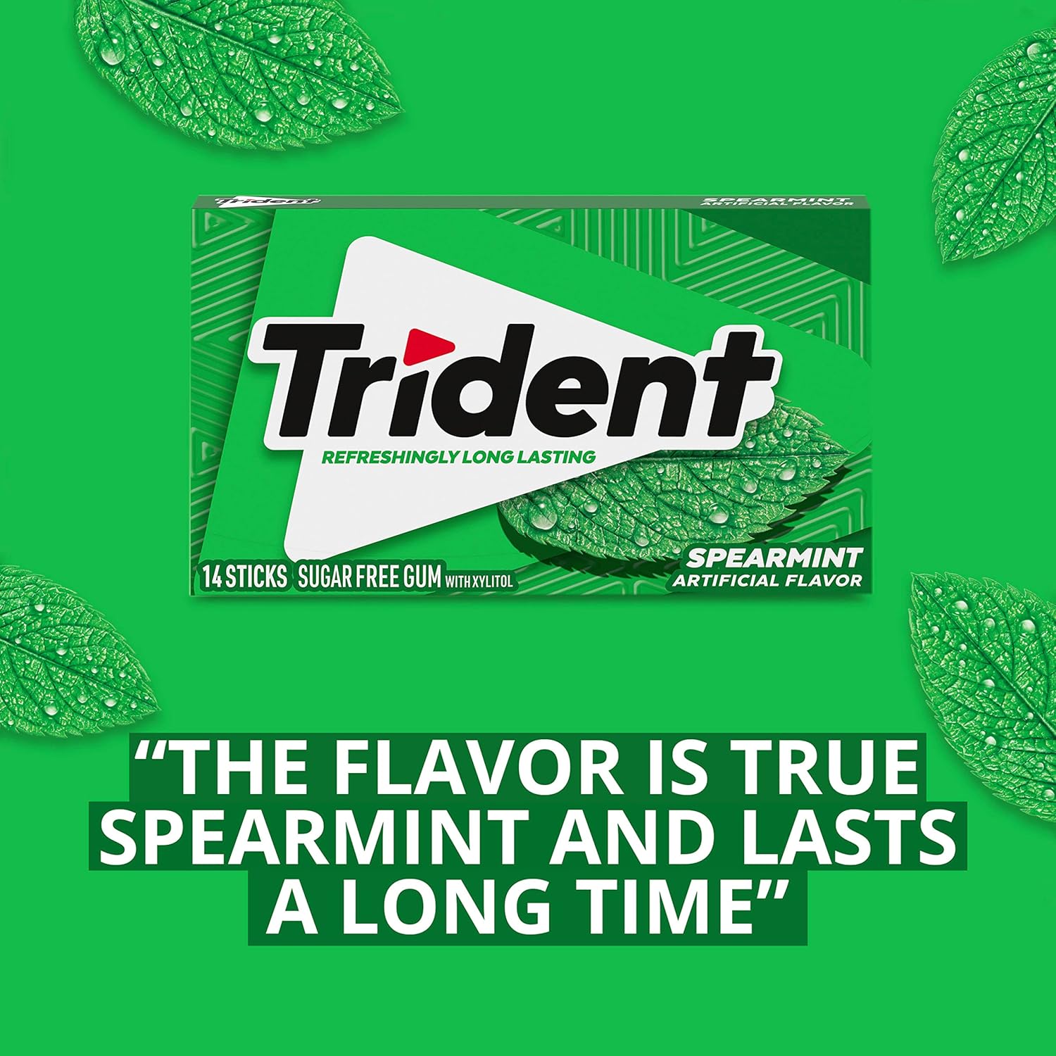 Trident Spearmint Sugar-Free Chewing Gum for Office Productivity, Bulk 24 Packs of 14 Pieces for Reception and Break Room