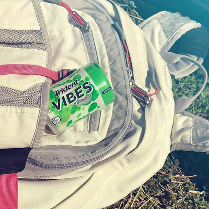 Trident Vibes Spearmint Rush Sugar-Free Chewing Gum – Office Desk Refresh for Meetings and Client Calls, 240 Pieces