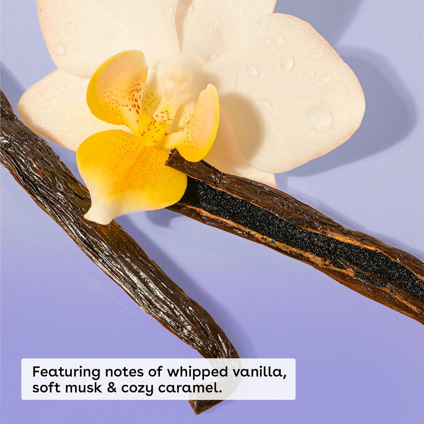 triple-butter blend: shea butter (softens), cocoa butter (hydrates), argan butter (soothes)
