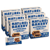 Nature's Bakery Gluten Free Fig Bars – School Lunchbox Snack for Kids with Allergies