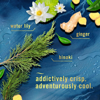 two premium scent blends: mountain (alpine, wildflower, cedar) and ocean (waterlily, ginger, hinoki)