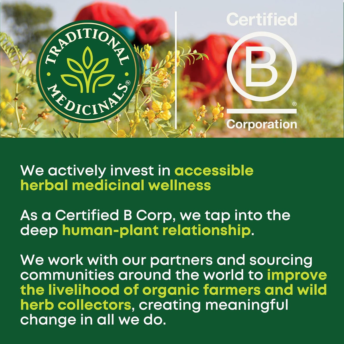 usda certified organic, non-gmo project verified, kosher, and caffeine-free