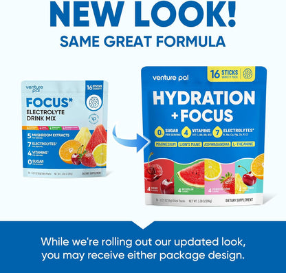 Venture Pal 2-in-1 Electrolyte Mix – Sustained Focus Drink Sticks for Library Days and Long Screen Blocks