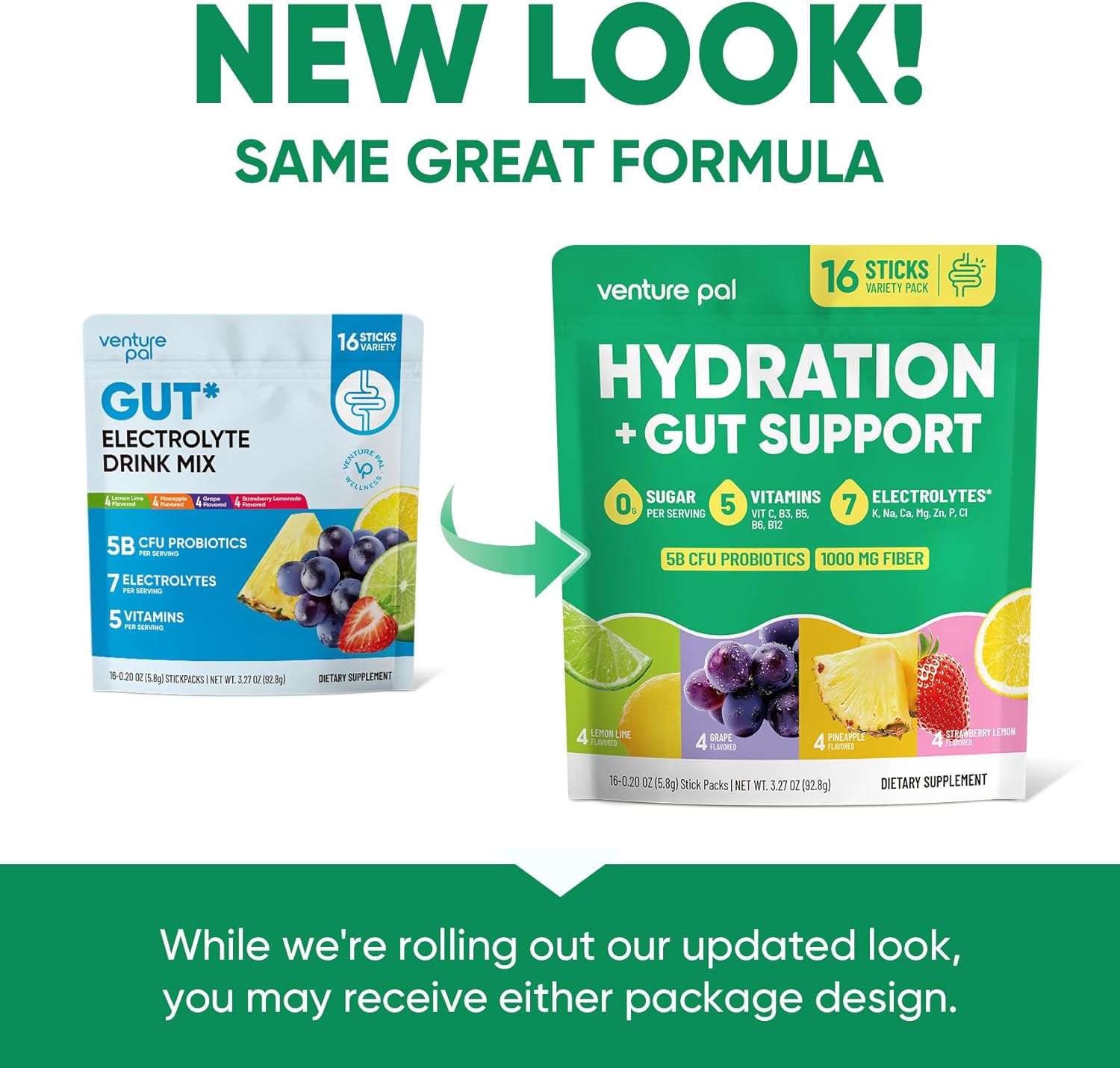 Venture Pal Sugar-Free Electrolyte Drink Mix – Travel-Friendly Hydration Sachets for Carry-On, Road Trips, and Backcountry Use