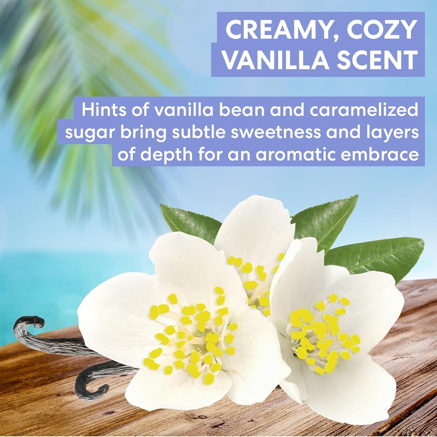 warm vanilla bean and caramelized sugar fragrance profile